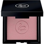 Germaine de Capuccini Makeup Сенки за очи True Shadow, 250 Lingerie, 2.7 g - baby