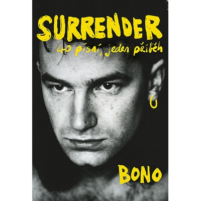 Surrender: 40 písní, jeden příběh – Zbozi.Blesk.cz