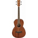 Ibanez PNB14E