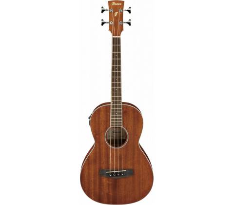 Ibanez PNB14E