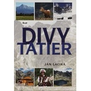 Divy Tatier