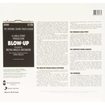 Various Blow-Up
