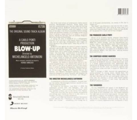 Various Blow-Up