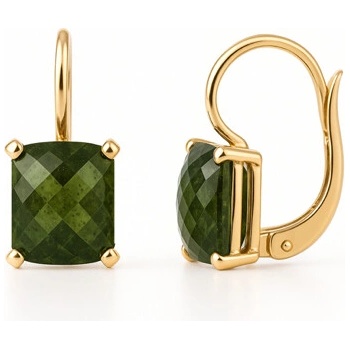 Vltavín Moldavite Zlaté náušnice s vltavíny P2000367420006