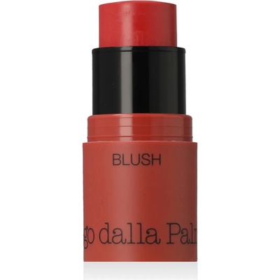 Diego Dalla Palma All In One Blush N.43 Rosa 4 g