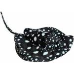 Dubi Black ray 55cm