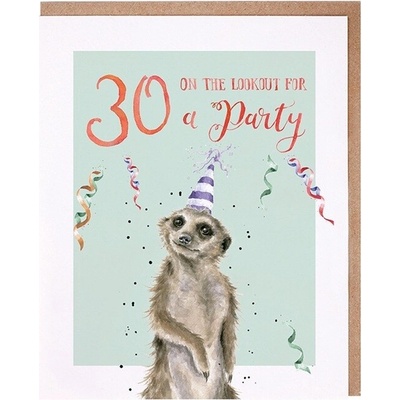 Narozeninové přání "30 On The Lookout For a Party" - Surikata