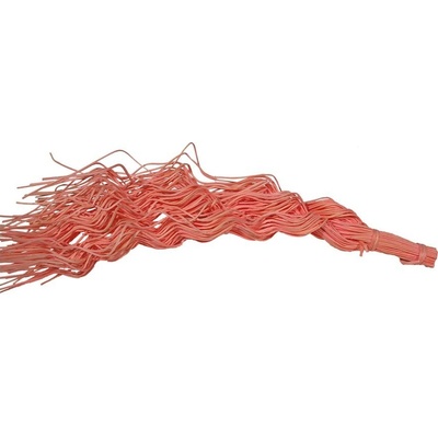 bláznivý pedig-50cm,50g,barevný 381422/2