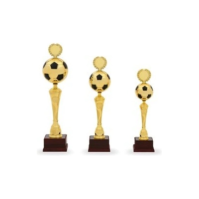 Pohár fotbal PS 22525.1