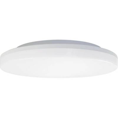 mlight 81-3118