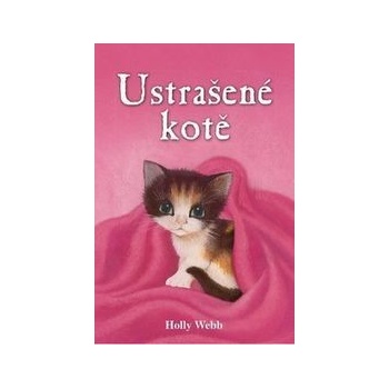 Ustrašené kotě