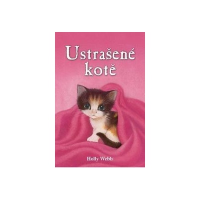 Ustrašené kotě