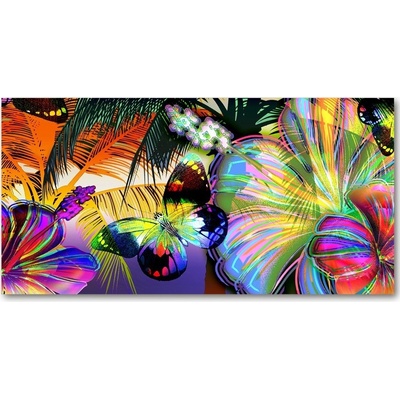 Fotoobraz na skle Kvety a motýľ 100x50 cm