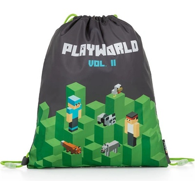 Karton P + P Playworld