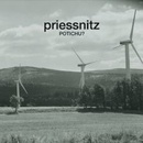 Priessnitz - Potichu? CD