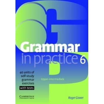 Grammar in practice 6