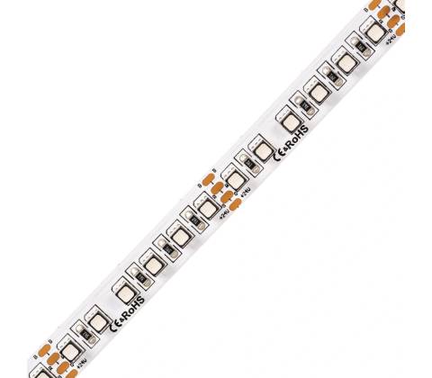 T-LED 082401