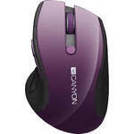 CANYON CNS-CMSW01P