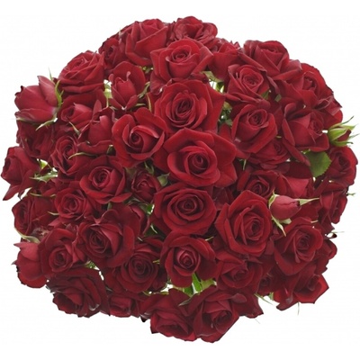 Kytice 100+ květů růží RUBICON 50 cm