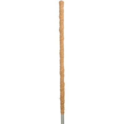 PLANTA Kokosový kôl 180 cm