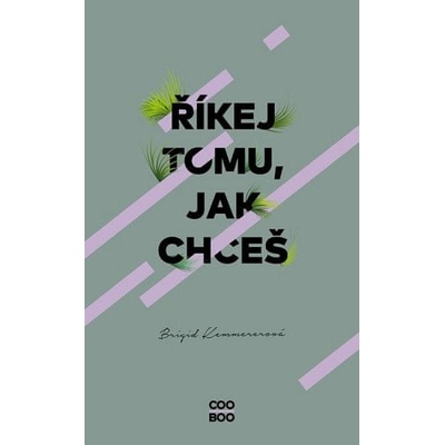 Říkej tomu jak chceš - Brigid Kemmererová
