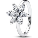 Pandora 193000C02