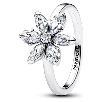Pandora 193000C02