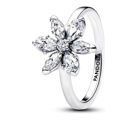 Pandora 193000C02