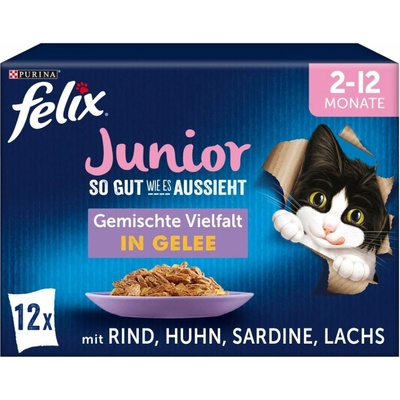 FELIX So gut wie es aussieht v želé Junior různé druhy 12× 85 g