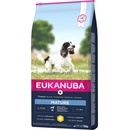 Eukanuba Mature & Senior Medium 2 x 15 kg