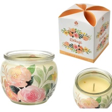 Arôme Děkuji, Vanilla Coconut 90 g