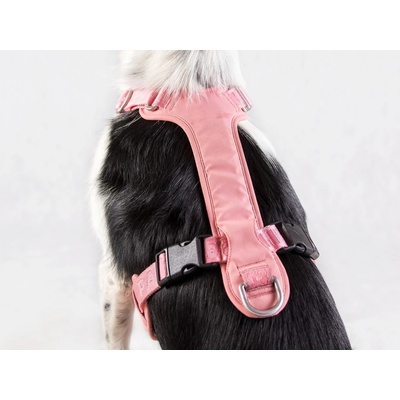 PAIKKA Reflexní postroj pro psy Visibility Harness