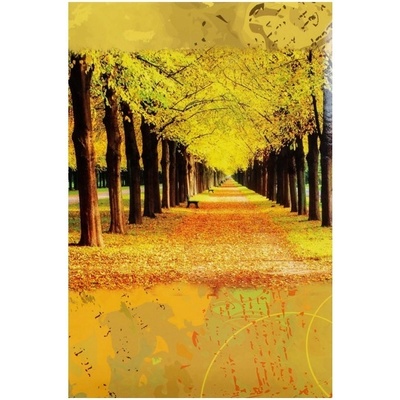 FANDY album MAIN 2, 9x13cm/200M