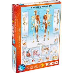 EUROGRAPHICS Пъзел Eurographics от 1000 части - Човешкото тяло (EG60001000)