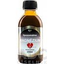 Zdravý svet Lipozomálne Magnézium 200 ml