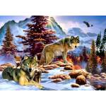 Bluebird Puzzle - Puzzle And New Dawn - 1 000 piese