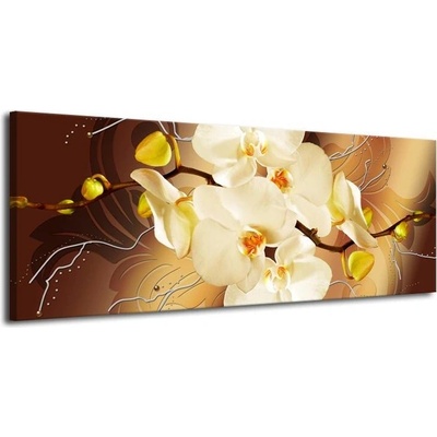 Obrazy na plátně orchidej žlutá plátno 1 145x58
