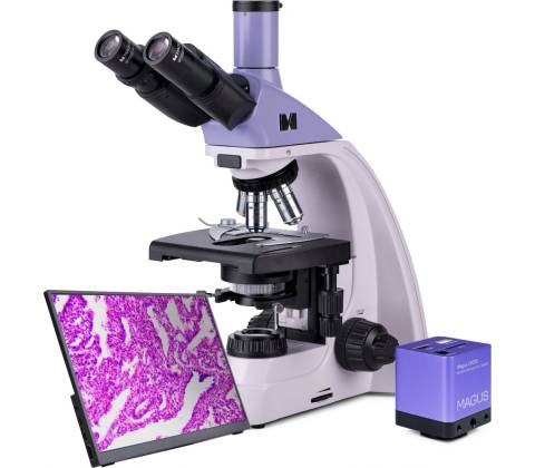 Magus Bio D250TL LCD
