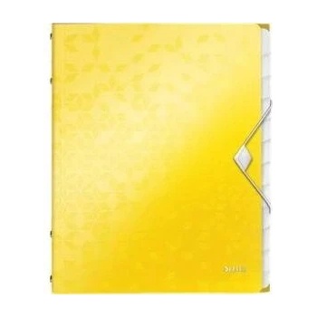 Leitz Briefcase PP with eraser Leitz Wow A4 12 cover