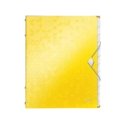 Leitz Briefcase PP with eraser Leitz Wow A4 12 cover
