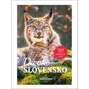 Divoké Slovensko
