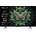 TCL 50C6K