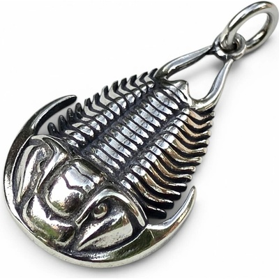 Drakkaria Přívěšek trilobit stříbrný P48064
