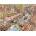 Heye - Puzzle Say Cheese! - 1 500 piese