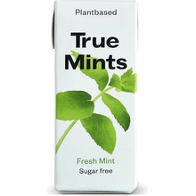 TRUE MINTS PASTILKY BEZ CUKRU S PŘÍCHUTÍ MÁTA 13 g