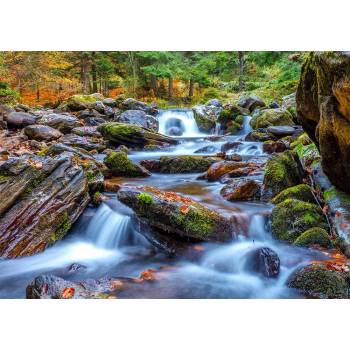 Image 1 of Enjoy - Puzzle Forest Stream in Autumn - 1 000 piese