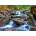 Enjoy - Puzzle Forest Stream in Autumn - 1 000 piese