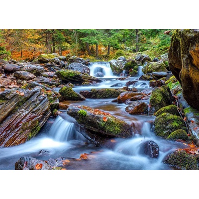 Enjoy - Puzzle Forest Stream in Autumn - 1 000 piese