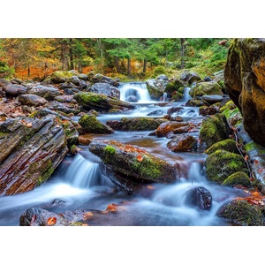 Enjoy - Puzzle Forest Stream in Autumn - 1 000 piese