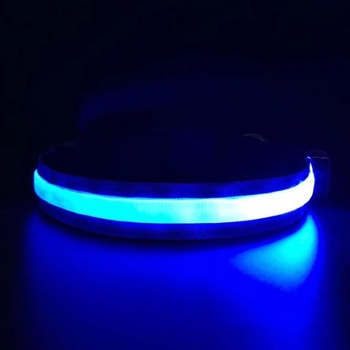 Reedog Flash USB svíticí obojek